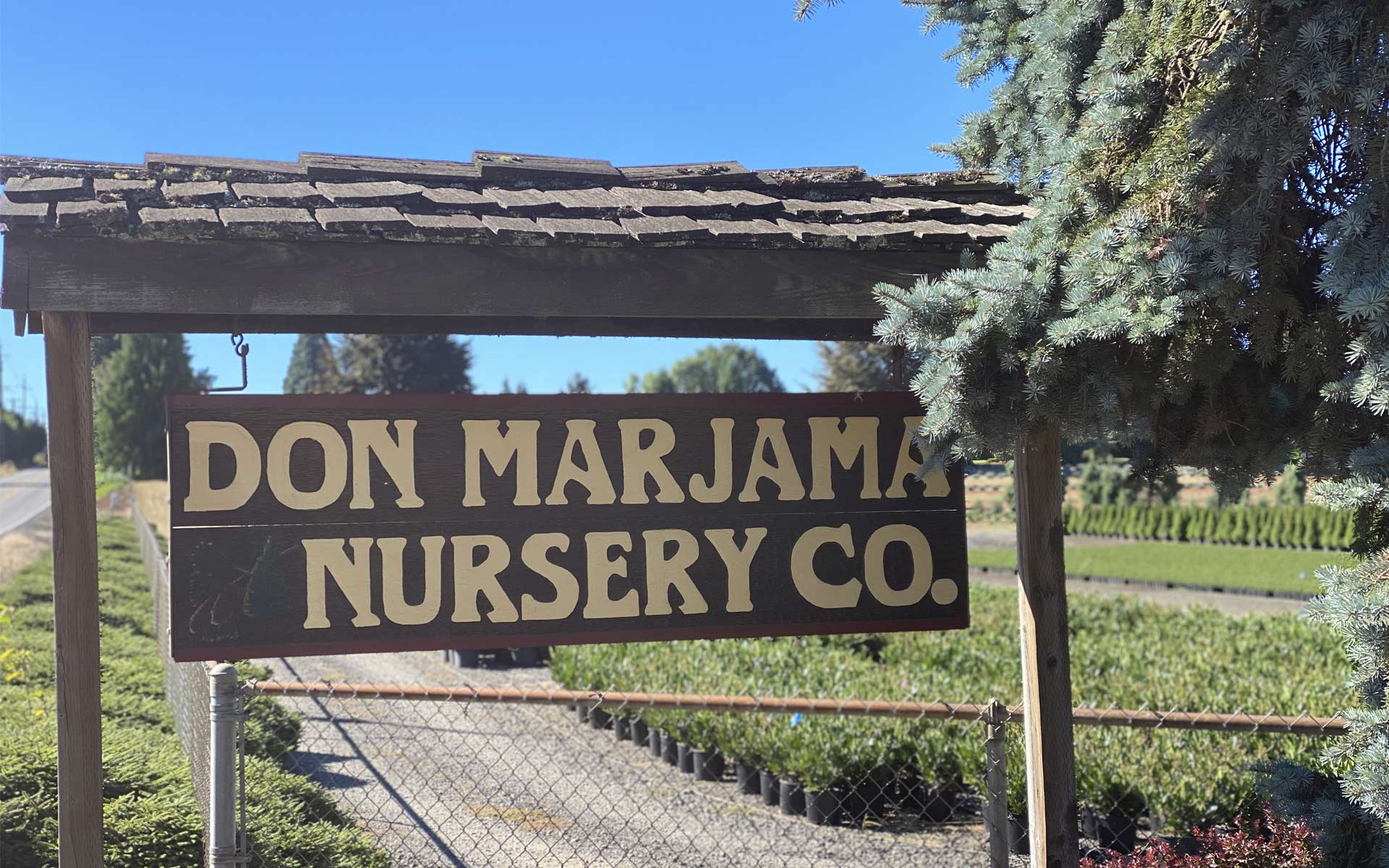 About Don Marjama Nursery